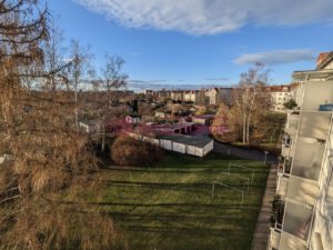 Aussicht (1)