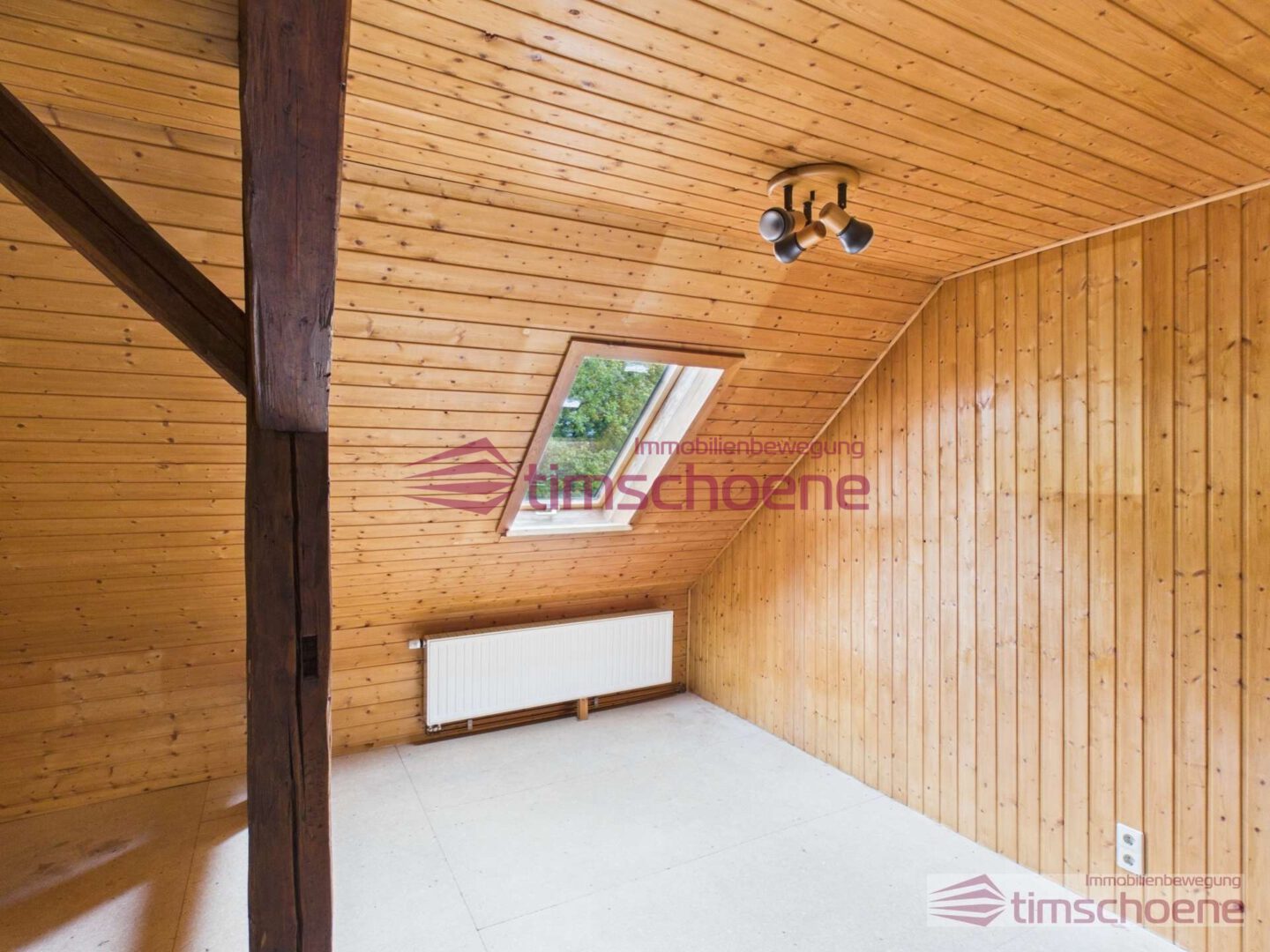 Zimmer DG